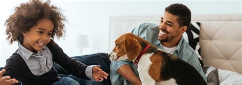 dog parent guide|dog parents and puppies.